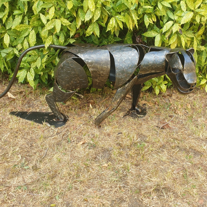 Didier Caffonnette (5)