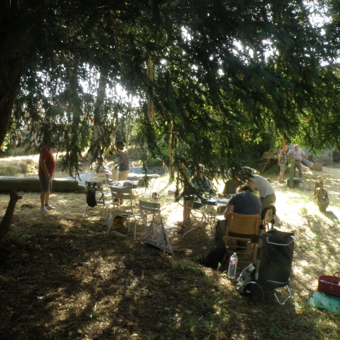 atelier-adultes (6)